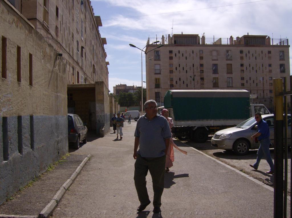 LA CITE DES MIMOSAS 02.JPG